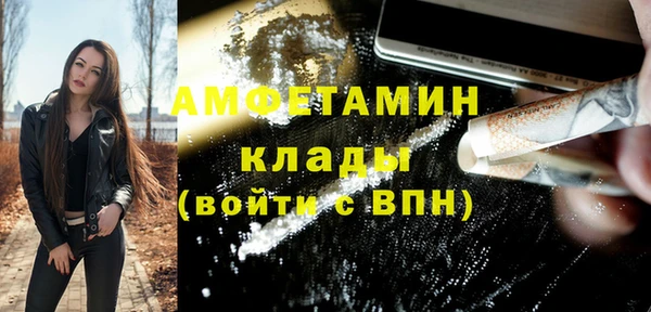 спиды Богородицк