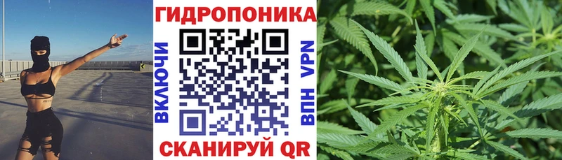 Бошки марихуана THC 21% Петушки